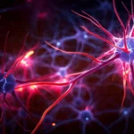 ALS research explaining how motor-neuron damage affects muscle control