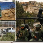 Tourists stranded in Mexico due to cartel violence and roadblocks