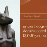 ancient dog jawbone fossil showing early domestication evidence