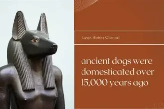 ancient dog jawbone fossil showing early domestication evidence