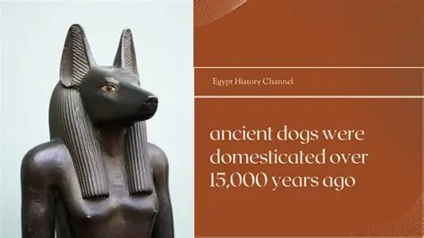 ancient dog jawbone fossil showing early domestication evidence