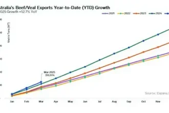Australian beef exports prepared for shipment to European markets