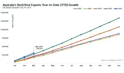 Australian beef exports prepared for shipment to European markets
