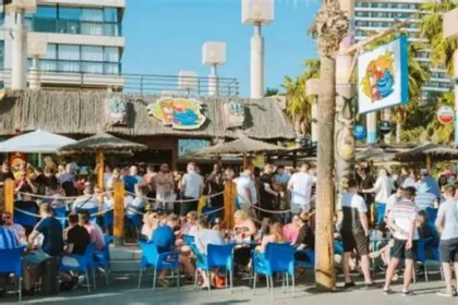 British racing fans watching Cheltenham Festival in Benidorm bars