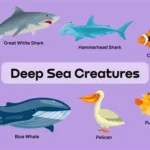 Deep sea creatures feeding on whale carcass during whale fall ecosystem