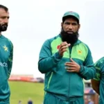 Hundred cricket coaches at auction discussing player selection