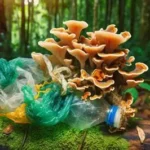 Disposable diaper with plastic-eating fungi packet designed to speed up decomposition