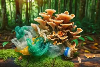 Disposable diaper with plastic-eating fungi packet designed to speed up decomposition