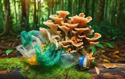 Disposable diaper with plastic-eating fungi packet designed to speed up decomposition