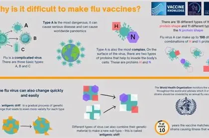scientists researching universal flu vaccine to target influenza virus mutations