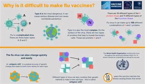 scientists researching universal flu vaccine to target influenza virus mutations