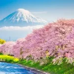 Colorful coastal landscape and mountains of Madeira island during spring