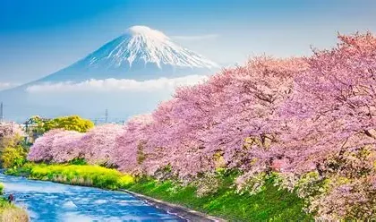 Colorful coastal landscape and mountains of Madeira island during spring