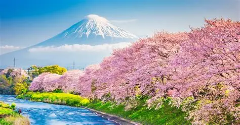 Colorful coastal landscape and mountains of Madeira island during spring