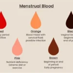 Scientist analyzing menstrual blood sample in lab