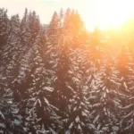 Person sleeps peacefully under winter blanket as snow falls outside window, illustrating seasonal sleep extension.