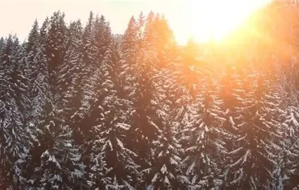 Person sleeps peacefully under winter blanket as snow falls outside window, illustrating seasonal sleep extension.