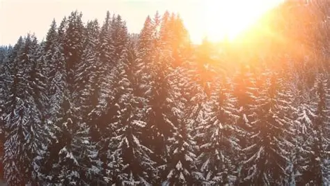 Person sleeps peacefully under winter blanket as snow falls outside window, illustrating seasonal sleep extension.