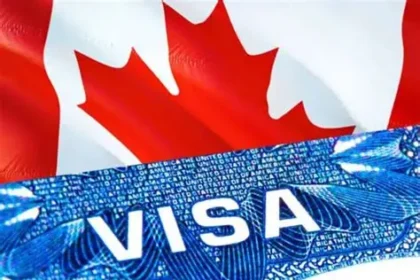 Indian students and parents review university brochures from Germany, Australia at Delhi consultancy, skipping Canada options.