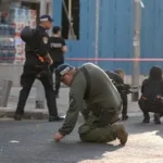 Police cordon and emergency services in Kensington Gardens during security investigation