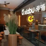 Crowds queue for Chinese bubble tea brands like Chagee and Mixue in Singapore mall, showcasing China's new exports