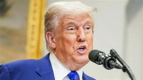 Donald Trump speaking about tariffs and UK digital services tax