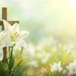 U2 performs live on stage with Bono at microphone and The Edge strumming iconic guitar during Easter Lily EP promotion.