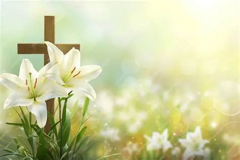 U2 performs live on stage with Bono at microphone and The Edge strumming iconic guitar during Easter Lily EP promotion.