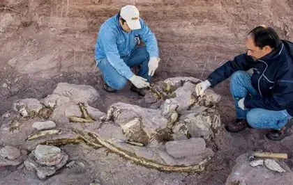 Thailand dinosaur discovery reveals giant Nagatitan fossil