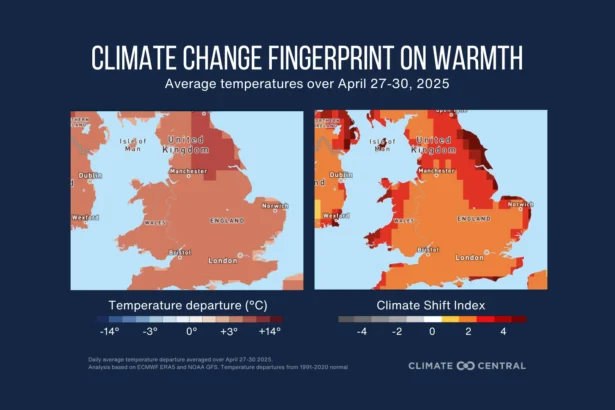 UK spring temperatures rise after cold snap