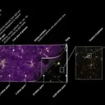 Illustration showing possible ways the universe could end including Big Freeze, Big Crunch and Big Rip