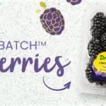 Fresh British blackberries in a punnet on an Aldi store shelf, part of the retailer's 100 per cent British blackberry range for summer.