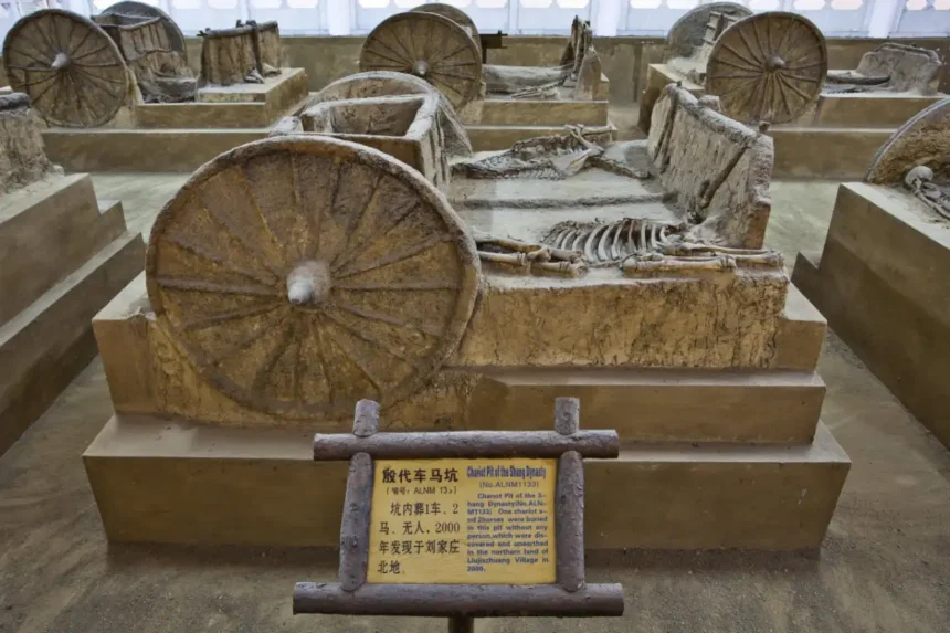 archaeological discoveries that changed how we see the ancient world