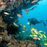 Maldives diving accident rescue operation in Vaavu Atoll
