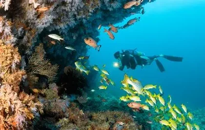 Maldives diving accident rescue operation in Vaavu Atoll