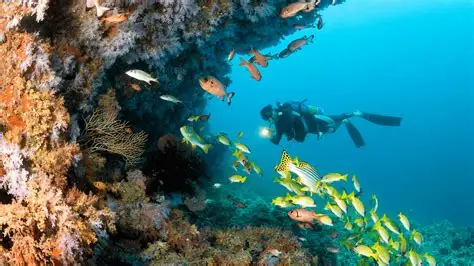 Maldives diving accident rescue operation in Vaavu Atoll