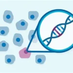 breast cancer chemotherapy DNA test Prosigna 2026 UCL study hormone therapy survival rate