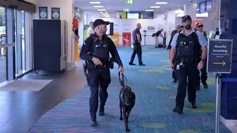 A CBP K9 officer and chocolate Labrador retriever currency detection dog at an airport security checkpoint during an outbound enforcement operation.