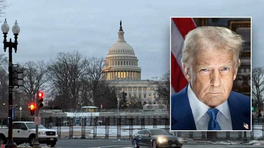 Trump dominates GOP as Republican Party faces internal division and primary shake-ups