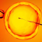 AI finds hidden sperm
