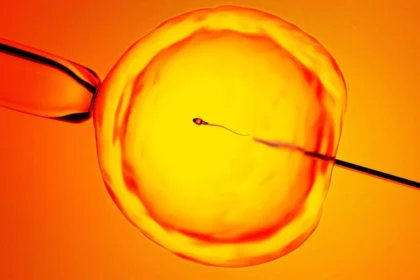 AI finds hidden sperm