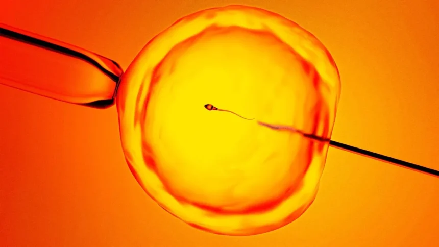 AI finds hidden sperm