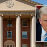 Federal Grants Political Test proposal affecting federal research funding and grant approval processes