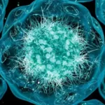 US cyclosporiasis outbreak reaches 15,716 confirmed cases in 2026
