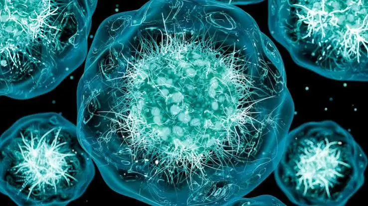 US cyclosporiasis outbreak reaches 15,716 confirmed cases in 2026