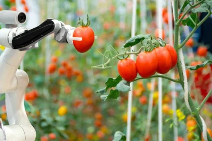 Agricultural robots using artificial intelligence and sensors to automate farming operations