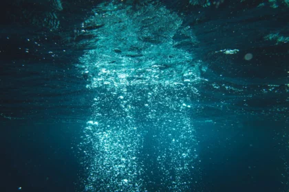 Life in the Challenger Deep at the deepest point in the ocean