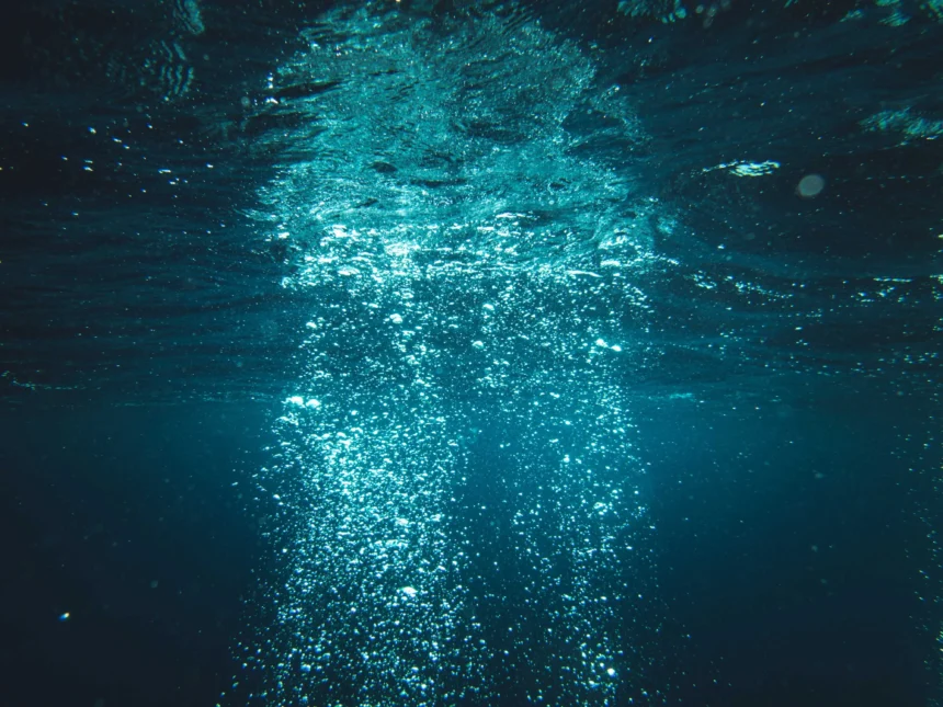 Life in the Challenger Deep at the deepest point in the ocean