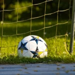 Most goals in football history featuring Cristiano Ronaldo Lionel Messi Pelé Josef Bican and other legendary football scorers